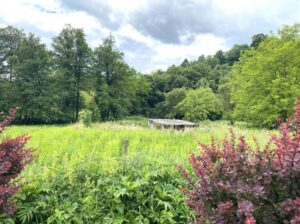 Plac 21a sa temeljem 15km od Kraljeva ☎☆►