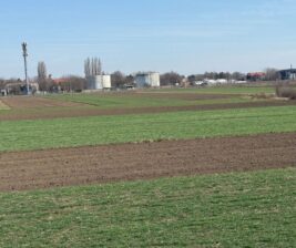 Batajnica, građevinsko zemljište