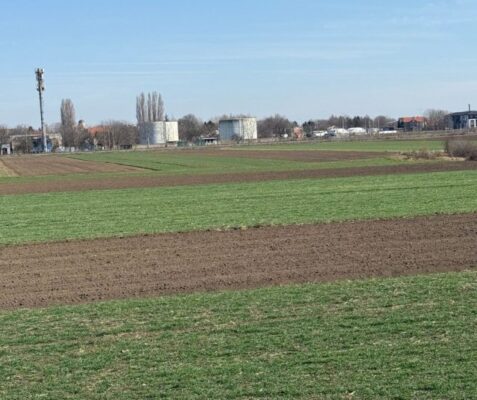 Batajnica, građevinsko zemljište