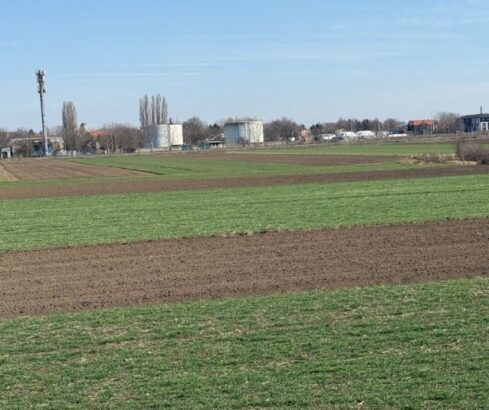 Batajnica, građevinsko zemljište