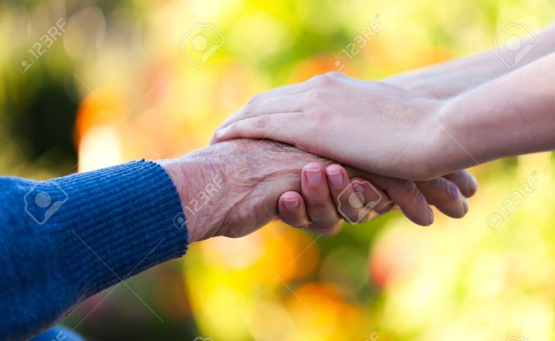 22401690 young female hand holding an old man