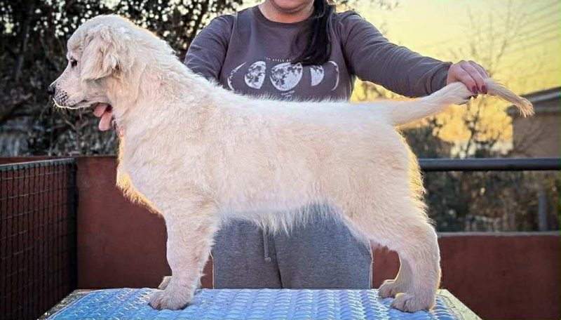 a5b594c7 2f19 4f55 aed7 158eda280fc4