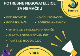 sinergy opšti 22