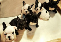 viber image 2025 10 27 21 44 00 888