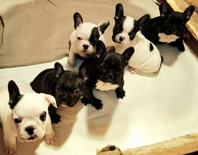 viber image 2025 10 27 21 44 00 888