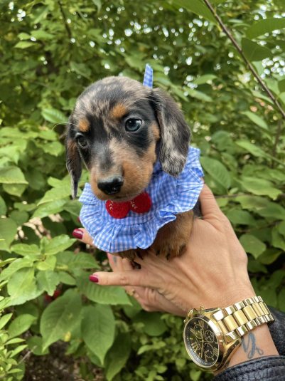 aviber image 2025 11 04 08 27 37 944