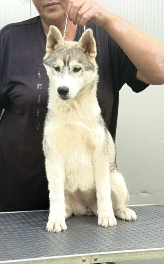 viber image 2025 10 31 16 38 24 208