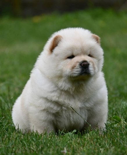 3a24daf2 6a5e 49a4 b1b2 55c98e2f88d9