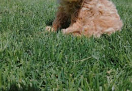 3ef9d516 5b8d 43b3 a134 f103d90909a9