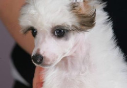 49e5a77d 54fa 43f6 93b0 0f7b7d108f86