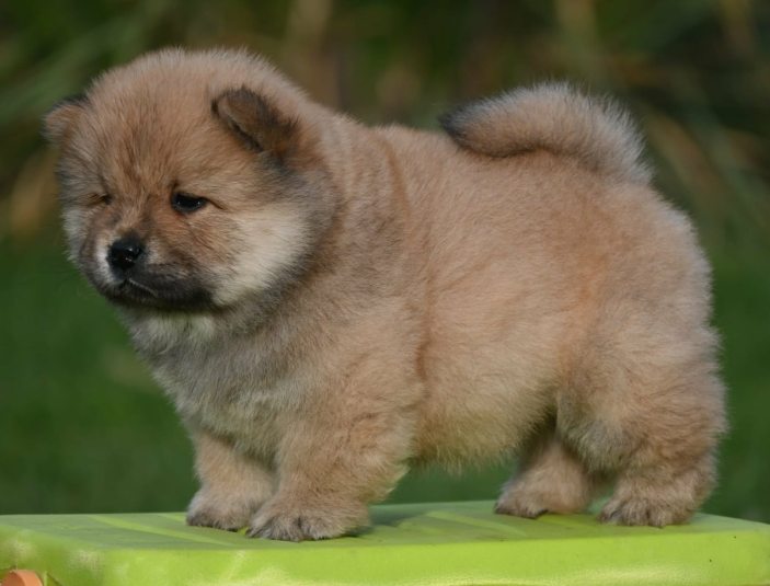 99aa4eda 154c 4dcb 973d 51349b545197