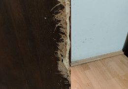 IMG fdcd22027da74ebe58393f40b0aad003 V