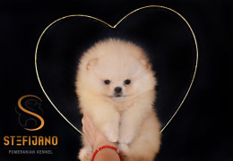 aviber image 2025 12 15 20 48 00 533