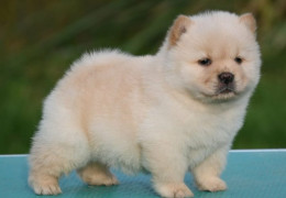 b08d6bf4 f42e 498f 92f9 138791d07256