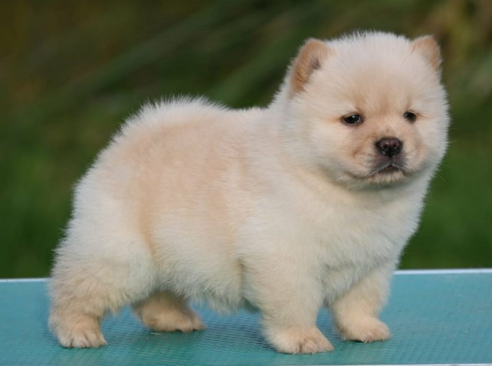 b08d6bf4 f42e 498f 92f9 138791d07256