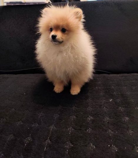 viber image 2025 12 28 20 42 46 593