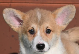 70644d40 48c7 434b 9fa8 824ff14afcca