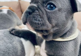 aviber image 2026 01 08 17 46 07 861 768x1024