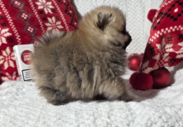 viber image 2026 01 02 21 16 05 555