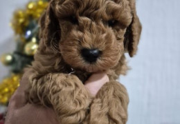 viber image 2026 01 11 17 38 55 509