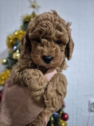 viber image 2026 01 11 17 38 55 509