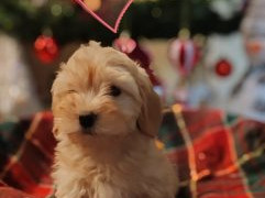 viber image 2026 01 14 18 25 38 924