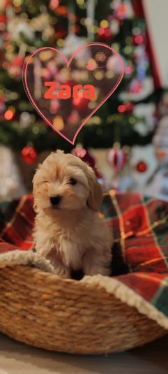 viber image 2026 01 14 18 25 38 924