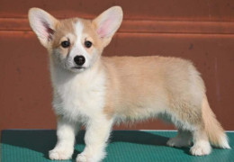 3cf1471b a883 47e8 9446 e5b50e99c666