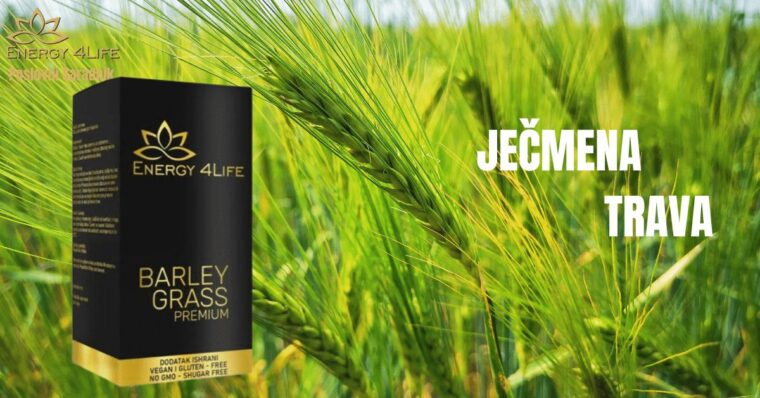 Barley Grass Premium – Ječmena trava